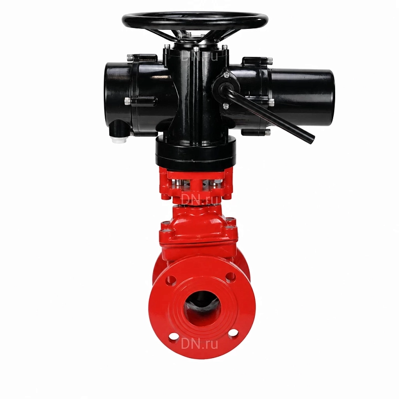 Задвижка клиновая 30ч939р Ду65 Ру10/16, фланцевая, корпус - чугун GGG50, уплотнение - EPDM, c ОСТ-фланцем тип А и невыдвижным штоком, цвет - красный, с электроприводом многооборотным MT-N-005M-O2-220VAC-У1 пятикулачковым (GVWN1414E-2W-F)